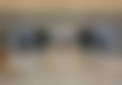 三、王颐生技术优势