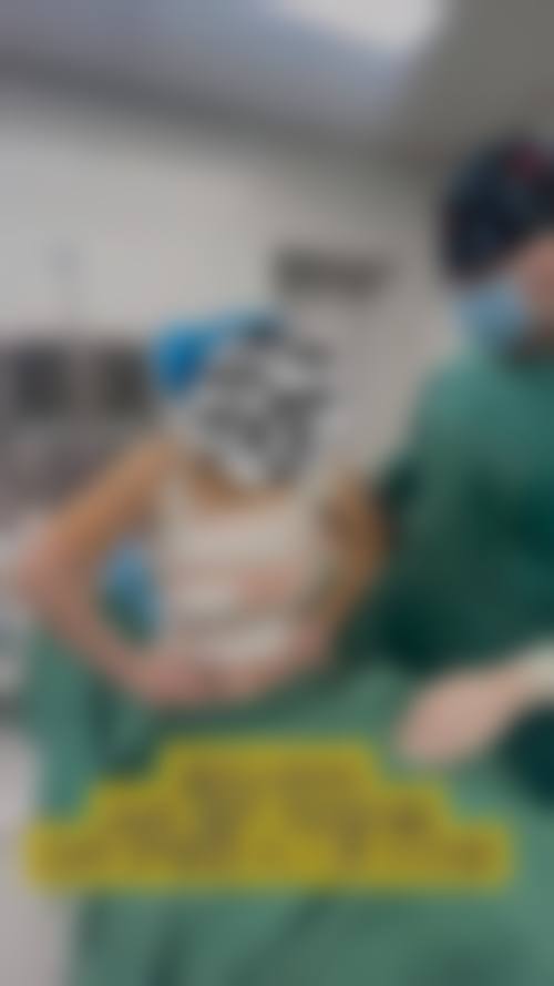 三、北京中加科洋医疗美容医院诊疗项目有哪些？