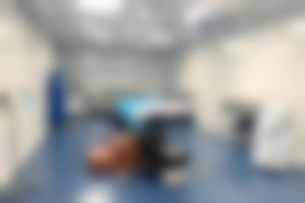 二、金蓓蕾擅长项目