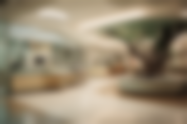 二、马俪娜擅长项目