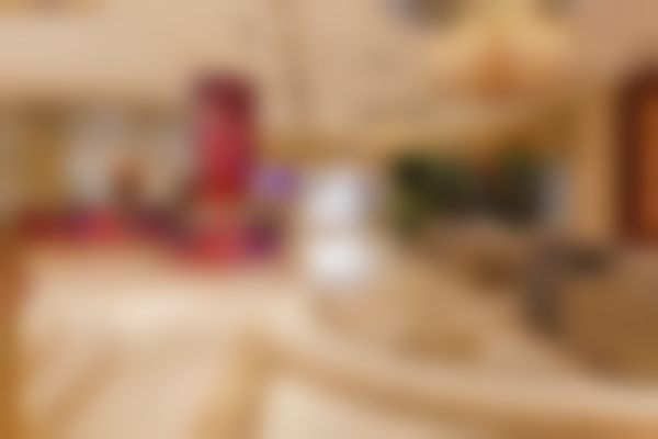 三、谷晓红技术优势