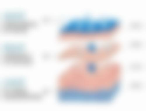 二、刘喻平擅长项目