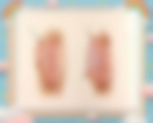 三、上海宏康医院私密整形科诊疗项目有哪些？