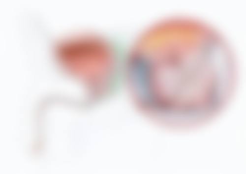 三、湖北臻智医疗美容诊所诊疗项目有哪些？