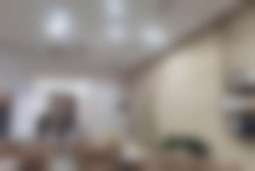 三、李晓璐技术优势