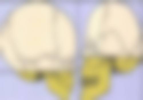 七、西宁艾薇整形医院地址及交通