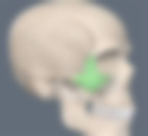 七、儿童疤痕修复的特殊注意点