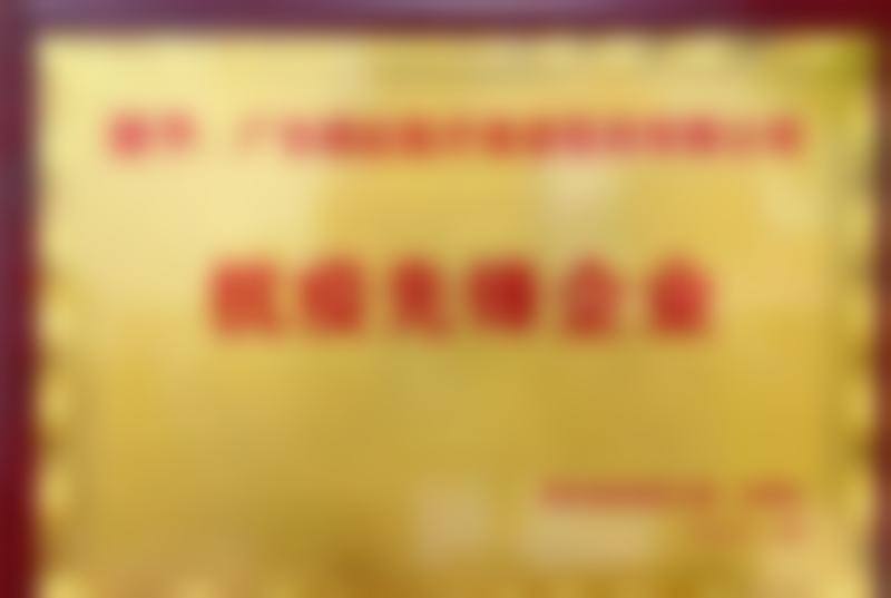 三、王小斌技术优势