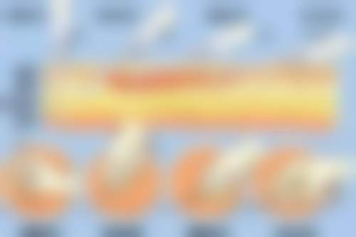 六、长沙欣姿美医疗美容门诊部价格表