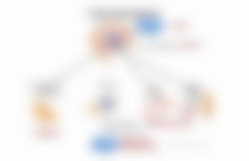 三、黄瓜胶的成分与作用原理