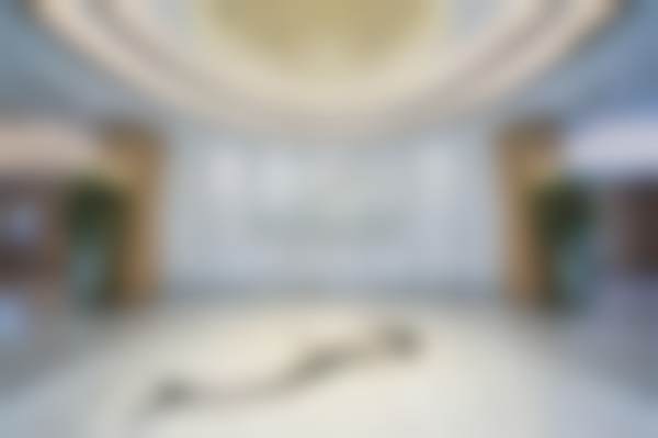 三、武汉美莱医疗美容医院