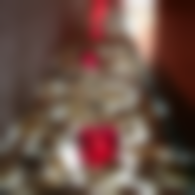 三、金保成技术优势