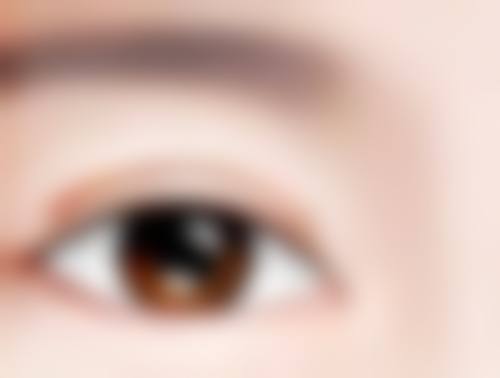 四、内双眼皮对男生整体形象的影响因素