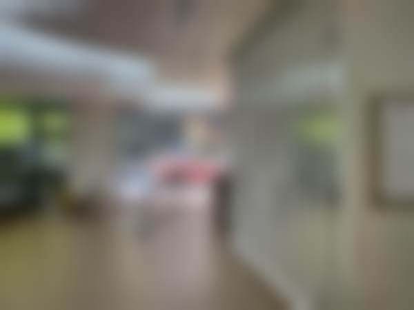 二、张诗若医生简介