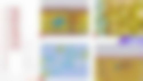 四、南平市妇幼保健院特色项目