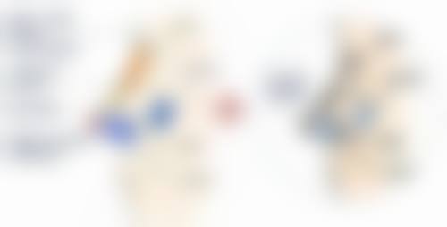 四、科学应对不同类型眼袋的方案