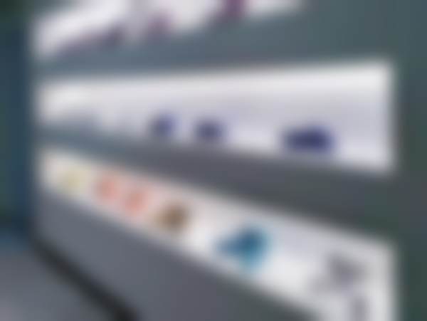 二、王咏民擅长项目