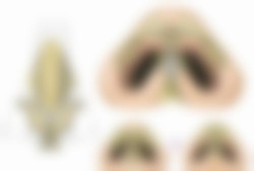 五、大同美珠美际医疗美容诊所价格表