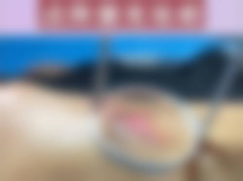 四、高黎明收费价格表