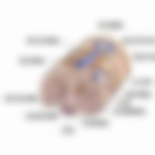 四、如何降低瘦脸针注射副作用的发生风险