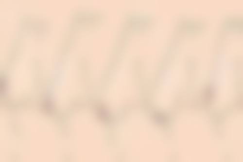 六、韩国雕刻整形外科价格表