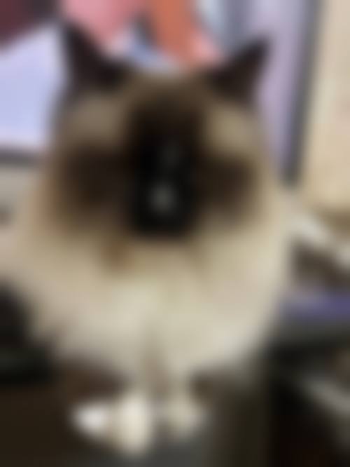 八、玉林市第一人民医院整形美容、烧伤外科预约方式