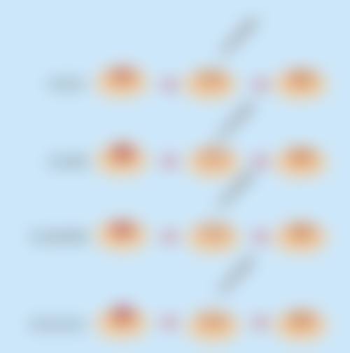 四、广州增城德玛肤奢颜整形医院特色项目