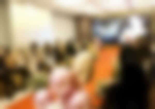 二、朱彬芳擅长项目