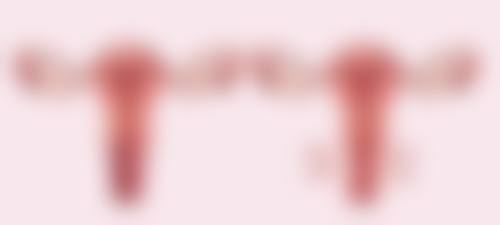 四、郭勇收费价格表