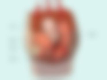 二、广州雪儿海蒂女性私密整形修复专科怎么样？