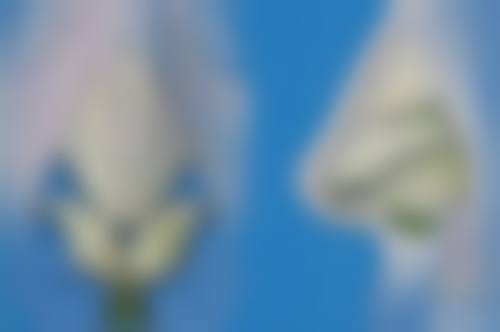 四、丰太阳穴的注意事项