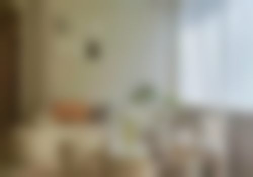 三、李绮峰技术优势