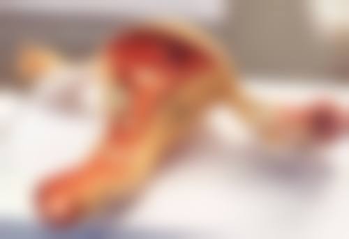 四、不同修复方法的对比