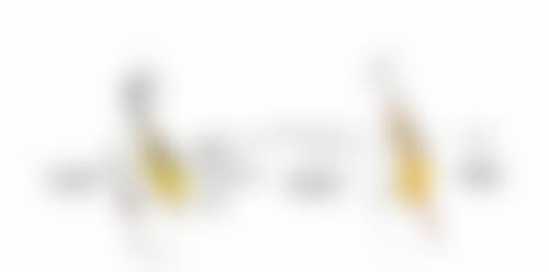 内取眼袋后多久修复正常？