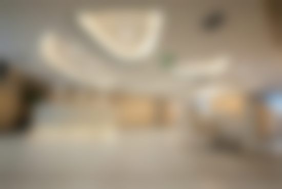 三、张承武技术优势