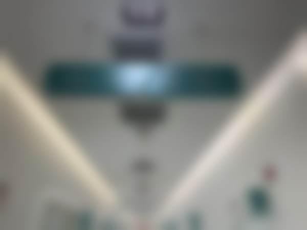 二、国内人民解放军北部战区总医院