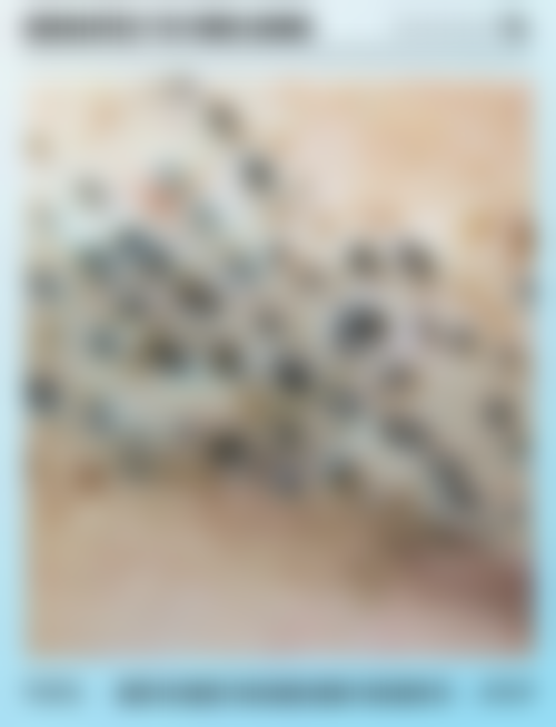 四、遵义颂氧轻奢整形医院特色项目