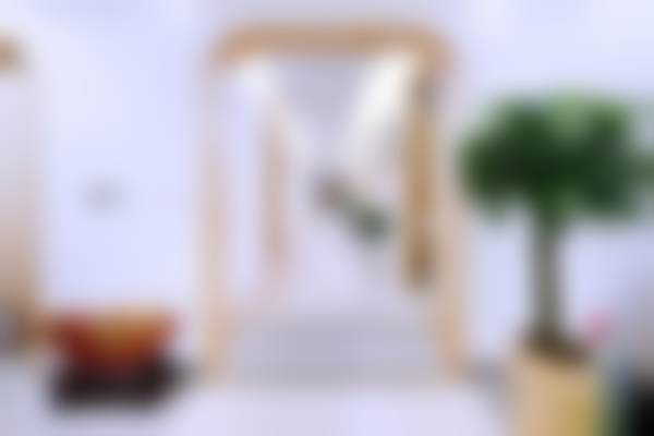 八、总结与建议