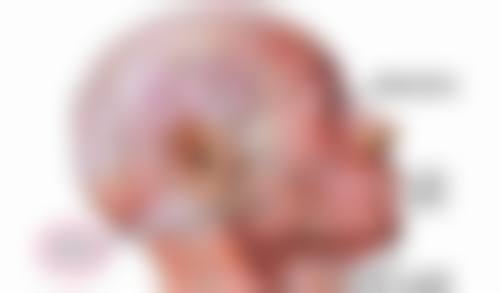 三、疤痕增生和疤痕体质的区别