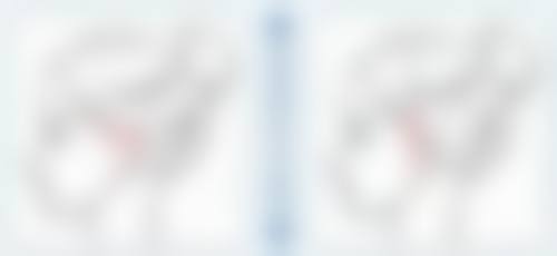 两个单眼皮可以生出一个双眼皮吗?遗传学解析与低概率可能情况揭秘