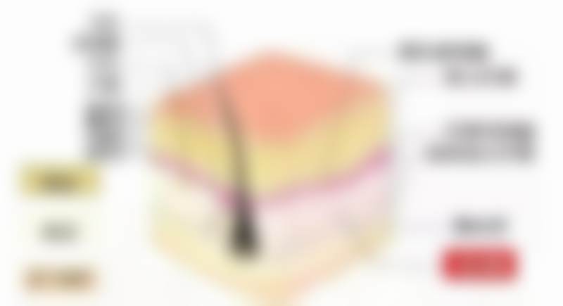 六、韩国美 lab 医院价格表