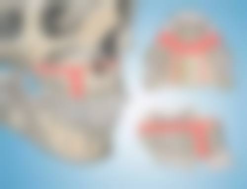 五、王帅道怎么预约?