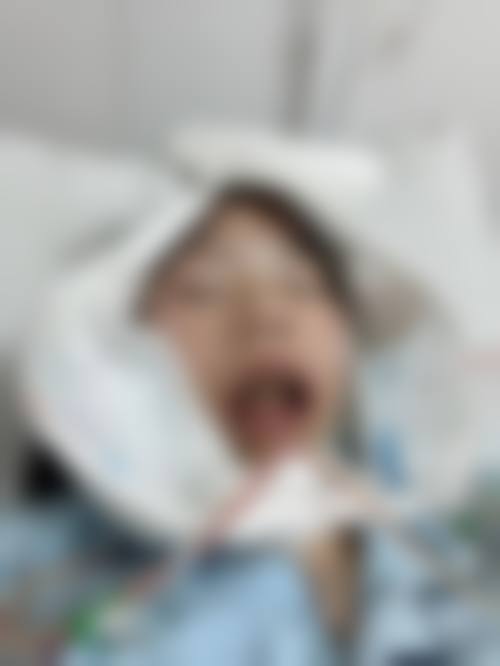 三、王帅道技术优势