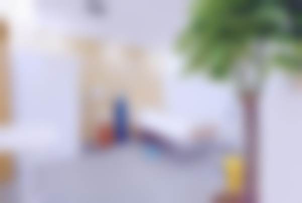 三、王影技术优势