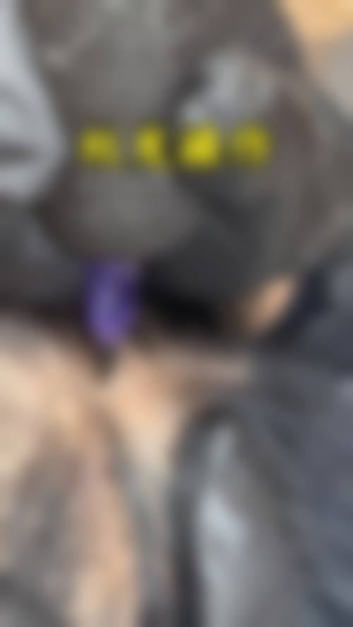 二、毕森森擅长项目