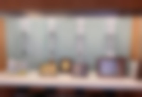 二、董帅成擅长项目