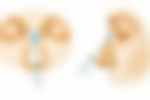 一、隆胸能给小孩喂奶吗？——假体隆胸与哺乳