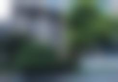 六、上海颜范医疗美容门诊部价格表