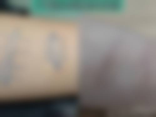 五、邢俊兰怎么预约？