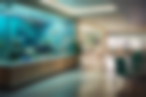 二、北京亚峰整形美容门诊部怎么样？